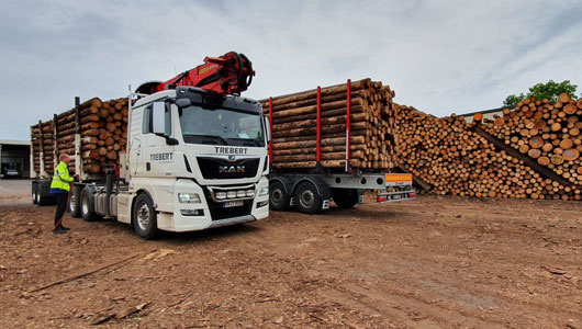 Short timber transport - delivery to destination