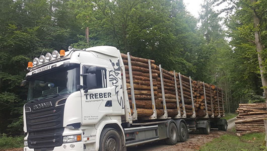 Short timber transport in forest